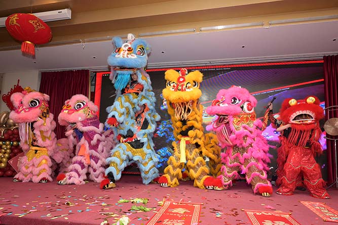 Six groups of performers dressed in  colourful Chinese lion dance costumes costumes.