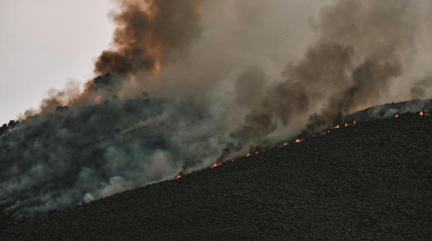 Intense forest fire spreading across a mountainside with thick smoke billowing into the sky