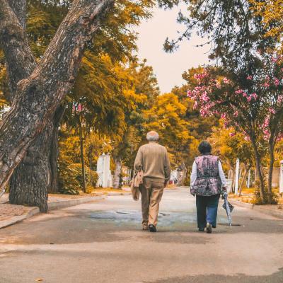 An elderly man and woman walking down a road lined with trees.