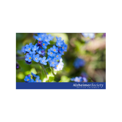 Forget me not