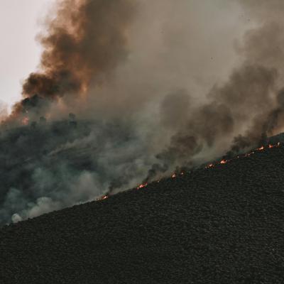 Intense forest fire spreading across a mountainside with thick smoke billowing into the sky