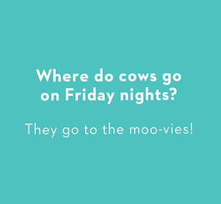 Where do cows go on Friday nights? They go to the movies!