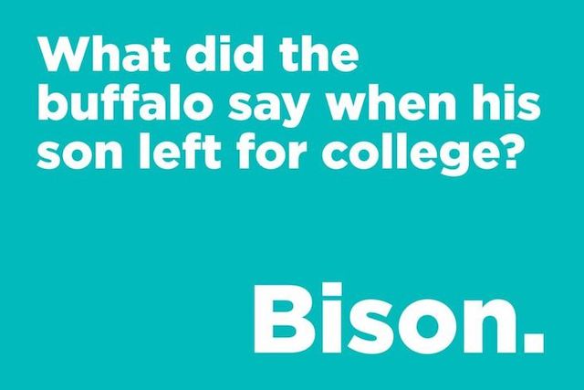 What did the buffalo say when his son left for college? Bison.