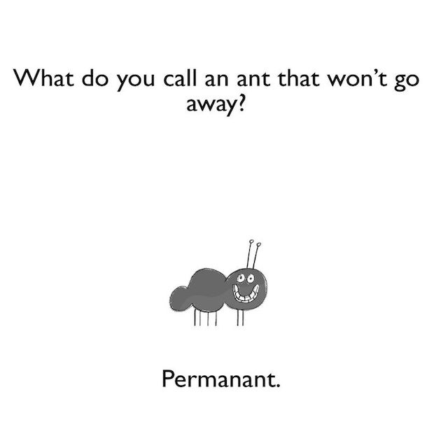 What do you call an ant that won't go away? Permanant.